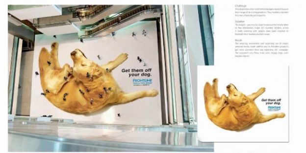 Frontline, para vê-los fora do seu cão