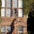 Giraffe Manor