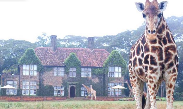 Giraffe Manor