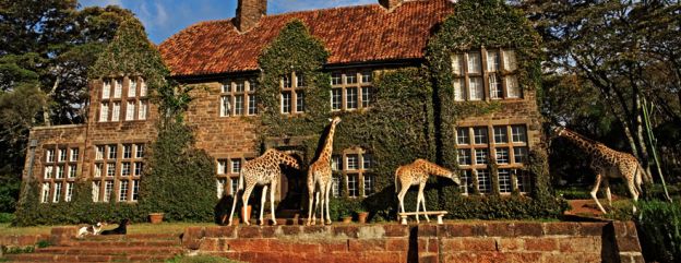 Giraffe Manor