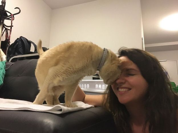 Jamie e sua nova dona