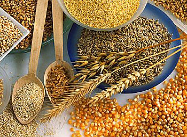 Limpeza do organismo