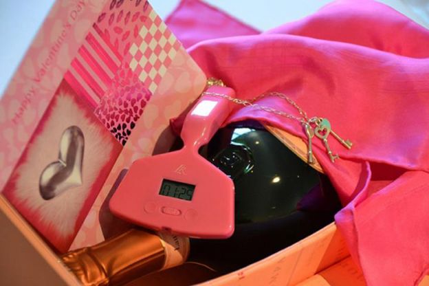 Little Rooster - Suas manhãs mais felizes (Fotos e Vídeo)