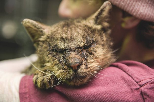 Abraçando Valentino