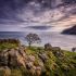 Murlough Bay - Irlanda do Norte