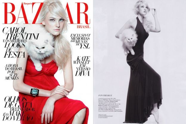 05. A cat model Nikole e a modelo Carol Trentini