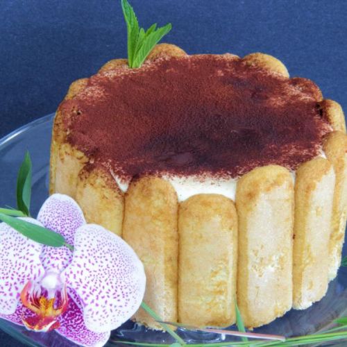 Charlotte tiramisu