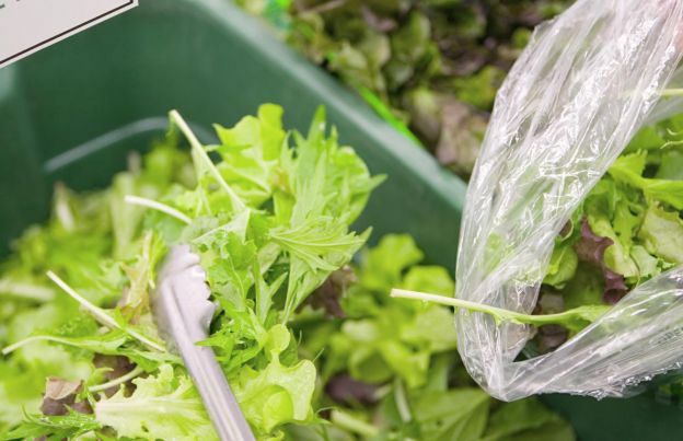 Maltratar suas folhas de alface e saladas verdes em geral