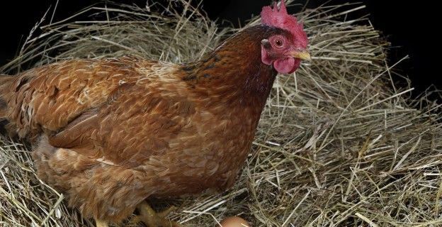 Se você não estiver muito motivado...