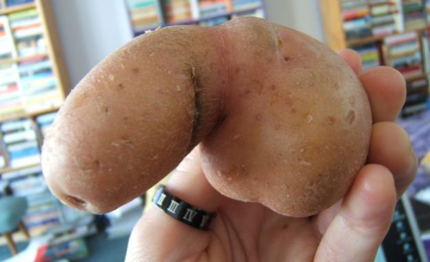 A BATATA ...