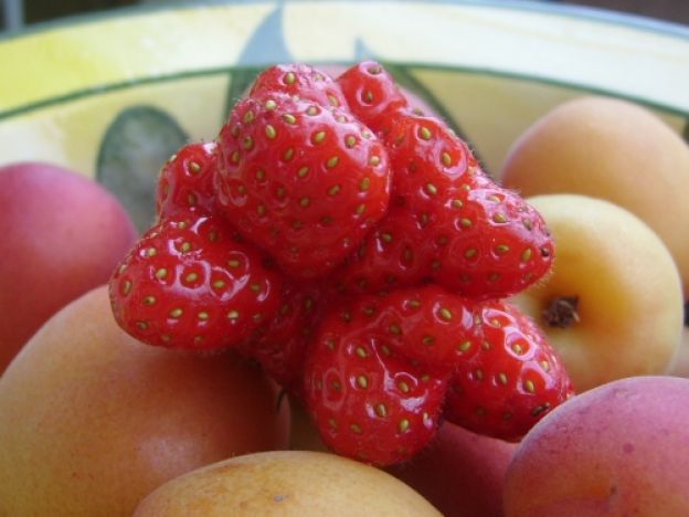 Um MORANGO MUTANTE, mas muito bonito