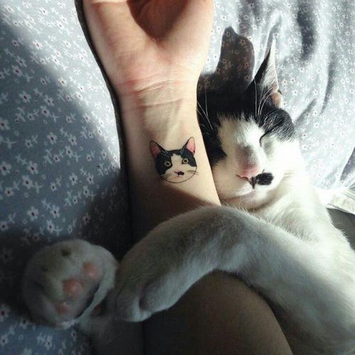 1. Tatuagem de gato