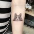 4. Tatuagem de gato