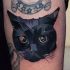 13. Tatuagem de gato