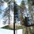Tree Hotel