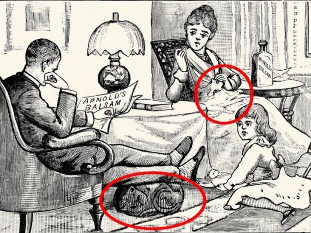 Resposta: os dois gatos estão aqui