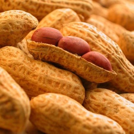 Receita light de paçoca