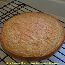 Pão de Ló sem glúten e sem lactose