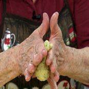Coxinhas especiais - Etapa 8