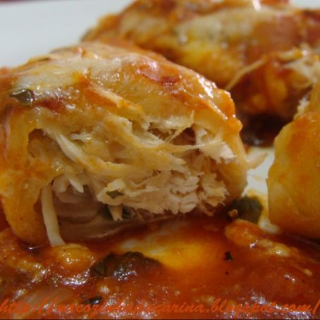 Canelone de frango sem massa