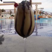 COQUETEL JACARÉ AGUATIVA