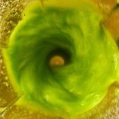 Suco verde detox - Etapa 1