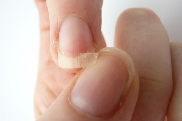 As glândulas supra-renais