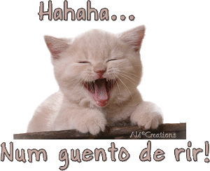 17. Gatos e seus sorrisos